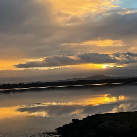 Meet your Posher, Schelly - Picture 1 of 1